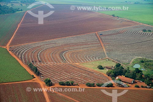  Subject: Field to planting of sugarcane already harvested / Place: Morro Agudo city - Sao Paulo state (SP) - Brazil / Date: 05/2013 