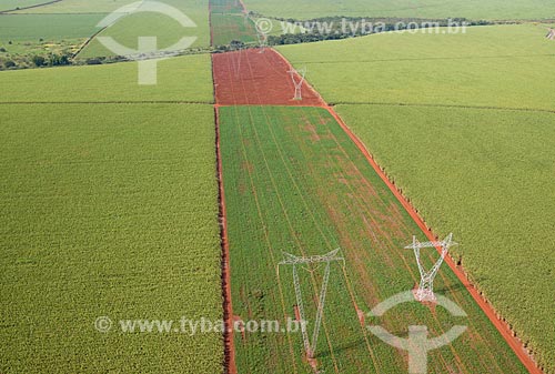  Subject: Aerial view of plantation of sugarcane / Place: Pontal city - Sao Paulo state (SP) - Brazil / Date: 05/2013 