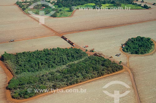  Subject: Trucks carrying sugarcane harvested / Place: Guaira city - Sao Paulo state (SP) - Brazil / Date: 05/2013 