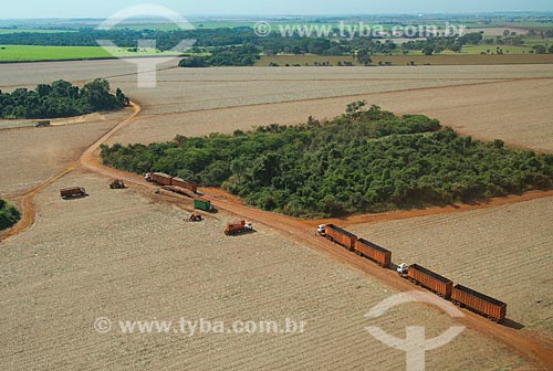  Subject: Trucks carrying sugarcane harvested / Place: Guaira city - Sao Paulo state (SP) - Brazil / Date: 05/2013 