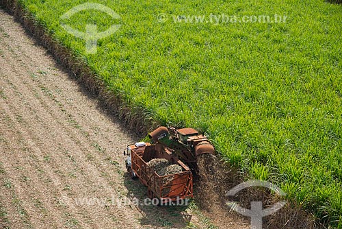  Subject: Mechanized harvesting of sugarcane / Place: Guaira city - Sao Paulo state (SP) - Brazil / Date: 05/2013 