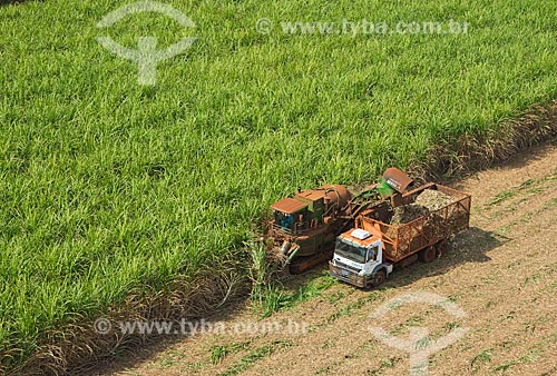  Subject: Mechanized harvesting of sugarcane / Place: Guaira city - Sao Paulo state (SP) - Brazil / Date: 05/2013 