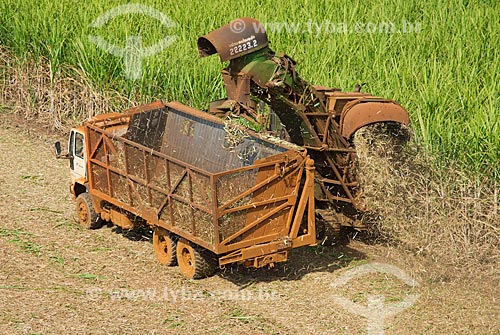  Subject: Mechanized harvesting of sugarcane / Place: Guaira city - Sao Paulo state (SP) - Brazil / Date: 05/2013 