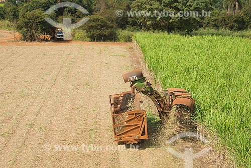  Subject: Mechanized harvesting of sugarcane / Place: Guaira city - Sao Paulo state (SP) - Brazil / Date: 05/2013 