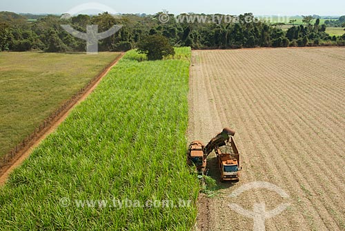  Subject: Mechanized harvesting of sugarcane / Place: Guaira city - Sao Paulo state (SP) - Brazil / Date: 05/2013 