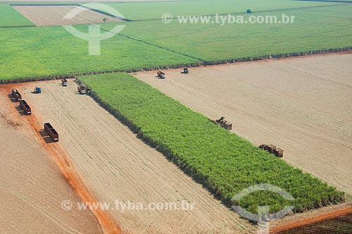  Subject: Mechanized harvesting of sugarcane / Place: Morro Agudo city - Sao Paulo state (SP) - Brazil / Date: 05/2013 