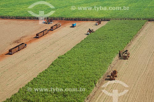  Subject: Mechanized harvesting of sugarcane / Place: Morro Agudo city - Sao Paulo state (SP) - Brazil / Date: 05/2013 