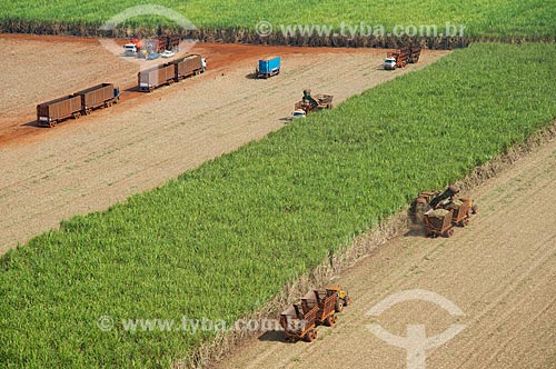  Subject: Mechanized harvesting of sugarcane / Place: Morro Agudo city - Sao Paulo state (SP) - Brazil / Date: 05/2013 