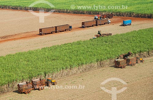  Subject: Mechanized harvesting of sugarcane / Place: Morro Agudo city - Sao Paulo state (SP) - Brazil / Date: 05/2013 