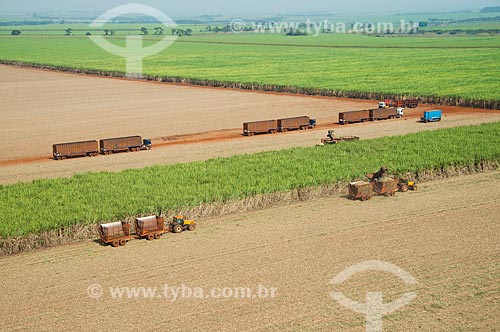  Subject: Mechanized harvesting of sugarcane / Place: Morro Agudo city - Sao Paulo state (SP) - Brazil / Date: 05/2013 