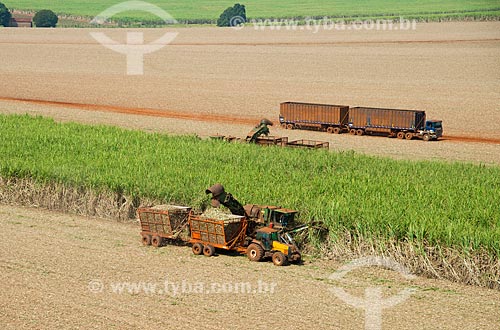  Subject: Mechanized harvesting of sugarcane / Place: Morro Agudo city - Sao Paulo state (SP) - Brazil / Date: 05/2013 