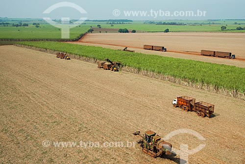  Subject: Mechanized harvesting of sugarcane / Place: Morro Agudo city - Sao Paulo state (SP) - Brazil / Date: 05/2013 