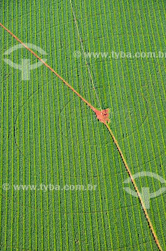  Subject: Aerial view of irrigation with central pivot in planting of corn / Place: Guaira city - Sao Paulo state (SP) - Brazil / Date: 05/2013 