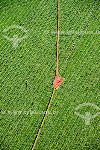  Subject: Aerial view of irrigation with central pivot in planting of corn / Place: Guaira city - Sao Paulo state (SP) - Brazil / Date: 05/2013 