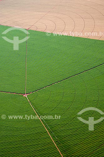  Subject: Aerial view of irrigation with central pivot in planting of corn / Place: Guaira city - Sao Paulo state (SP) - Brazil / Date: 05/2013 