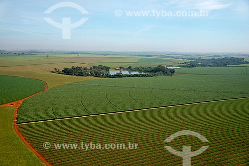  Subject: Aerial view of irrigation with central pivot in planting of corn / Place: Guaira city - Sao Paulo state (SP) - Brazil / Date: 05/2013 