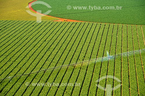  Subject: Aerial view of irrigation with central pivot in planting of corn / Place: Guaira city - Sao Paulo state (SP) - Brazil / Date: 05/2013 