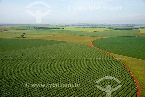  Subject: Aerial view of irrigation with central pivot in planting of corn / Place: Guaira city - Sao Paulo state (SP) - Brazil / Date: 05/2013 