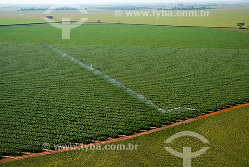  Subject: Aerial view of irrigation with central pivot in planting of corn / Place: Guaira city - Sao Paulo state (SP) - Brazil / Date: 05/2013 