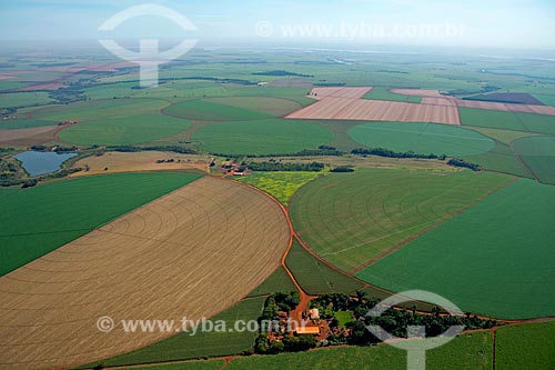  Subject: Aerial view of planting of corn / Place: Guaira city - Sao Paulo state (SP) - Brazil / Date: 05/2013 