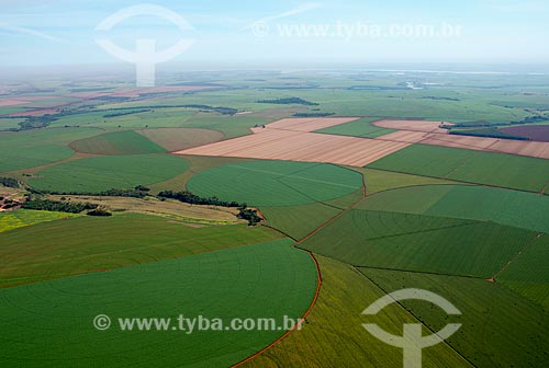 Subject: Aerial view of planting of corn / Place: Guaira city - Sao Paulo state (SP) - Brazil / Date: 05/2013 