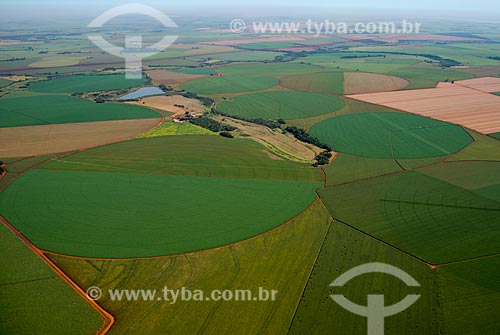  Subject: Aerial view of planting of corn / Place: Guaira city - Sao Paulo state (SP) - Brazil / Date: 05/2013 
