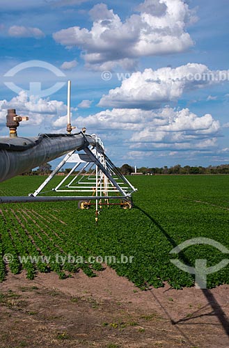  Subject: Irrigation with central pivot at bean plantation / Place: Luis Eduardo Magalhaes city - Bahia state (BA) - Brazil / Date: 07/2013 