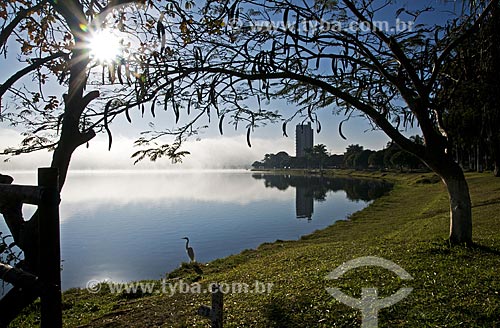  Subject: Heron on the banks of Furnas Dam / Place: Boa Esperanca city - Minas Gerais state (MG) - Brazil / Date: 07/2013 