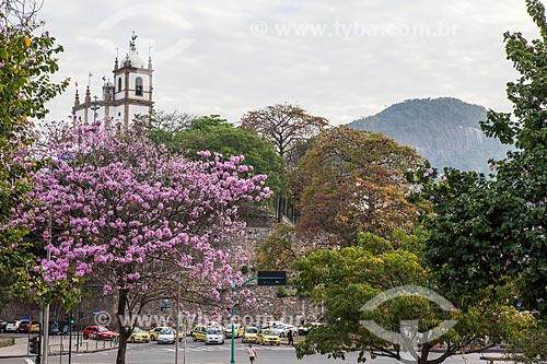  Subject: Ipe-Rosa (Tabebuia heptaphylla) flowery with the Nossa Senhora da Gloria do Outeiro Church (1739) in the background / Place: Gloria neighborhood - Rio de Janeiro city - Rio de Janeiro state (RJ ) - Brazil / Date: 08/2013 