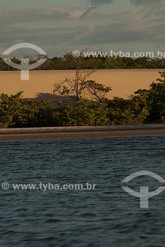  Subject: Mangroves at Preguicas River near to Lencois Maranhenses National Park / Place: Barreirinhas city - Maranhao state (MA) - Brazil / Date: 07/2010 