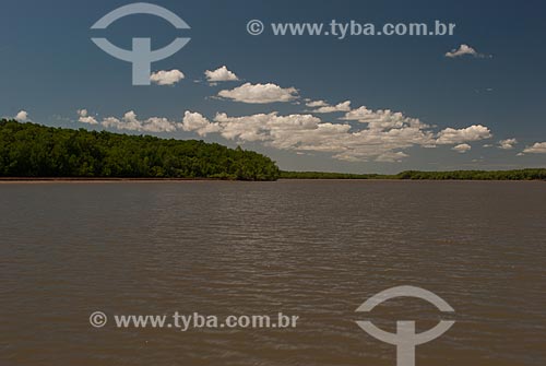  Subject: Delta of Parnaiba near to Marine Extractive Reserve of the Delta of Parnaiba / Place: Tutoia city - Maranhao state (MA) - Brazil / Date: 07/2010 