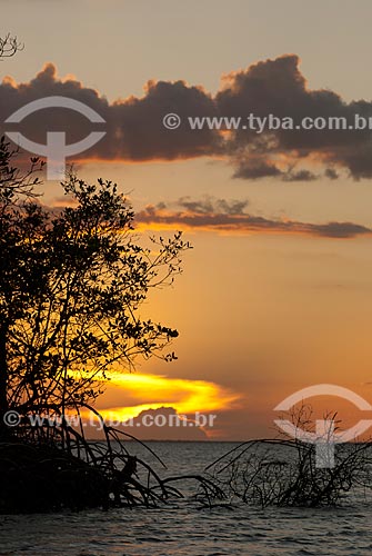  Subject: Sunset at Preguicas River near to Lencois Maranhenses National Park / Place: Barreirinhas city - Maranhao state (MA) - Brazil / Date: 07/2010 