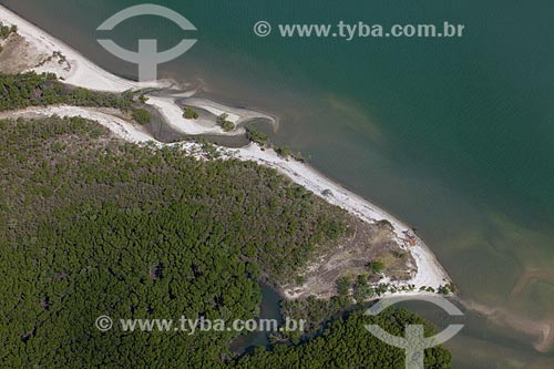  Subject: Mangroves - Sepetiba Bay / Place: Rio de Janeiro city - Rio de Janeiro state (RJ) - Brazil / Date: 04/2011 