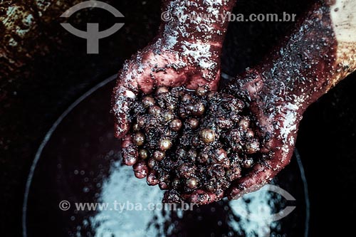  Subject: Detail of hands holding acai / Place: Acre state (AC) - Brazil / Date: 05/2013 