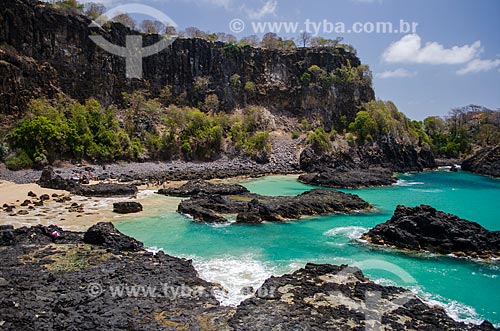  Subject: Cliff - Porcos Bay / Place: Fernando de Noronha Archipelago - Pernambuco state (PE) - Brazil / Date: 10/2013 