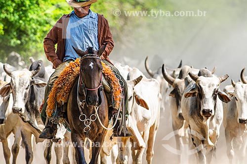  Subject: Cowboy herding cattle - near to Abobral River wetland / Place: Mato Grosso do Sul state (MS) - Brazil / Date: 11/2011 