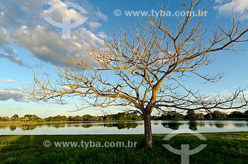  Subject: Bay in Pantanal Park Road / Place: Corumba city - Mato Grosso do Sul state (MS) - Brazil / Date: 11/2011 