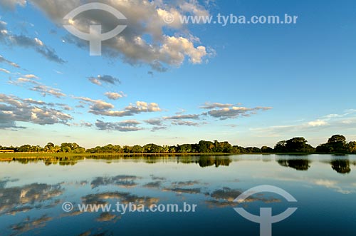  Subject: Bay in Pantanal Park Road / Place: Corumba city - Mato Grosso do Sul state (MS) - Brazil / Date: 11/2011 
