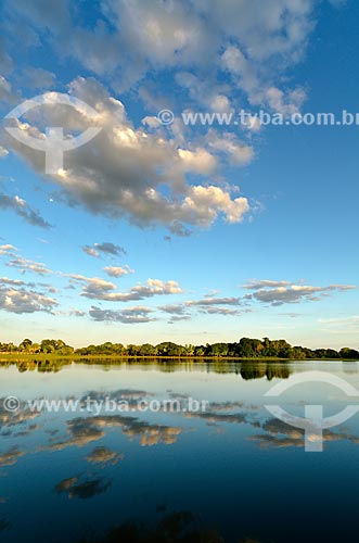  Subject: Bay in Pantanal Park Road / Place: Corumba city - Mato Grosso do Sul state (MS) - Brazil / Date: 11/2011 