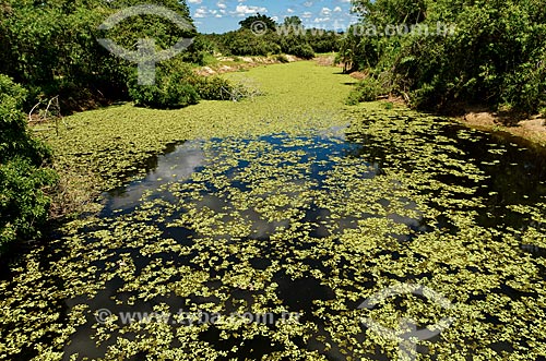  Subject: Ebb - near to Pantanal Park Road / Place: Corumba city - Mato Grosso do Sul state (MS) - Brazil / Date: 11/2011 