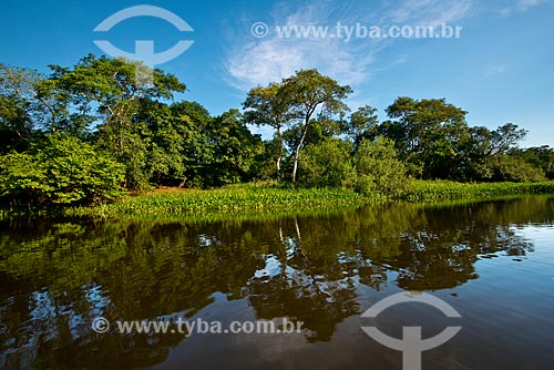 Subject: Tres Irmaos River - Encontro das Aguas State Park / Place: Mato Grosso state (MT) - Brazil / Date: 10/2012 