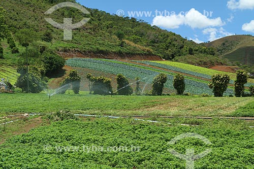  Subject: Plantation of vegetables / Place: Teresopolis city - Rio de Janeiro state (RJ) - Brazil / Date: 11/2013 