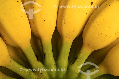  Subject: Detail of banana bunch / Place: Studio / Date: 05/2013 