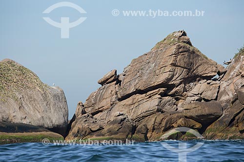  Subject: Filhote da Cagarra Island - part of Natural Monument of Cagarras Island / Place: Rio de Janeiro city - Rio de Janeiro state (RJ) - Brazil / Date: 11/2013 