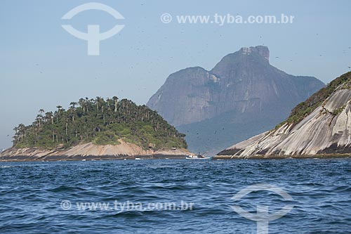  Subject: Palmas Island and a stretch of Cagarra Island - part of Natural Monument of Cagarras Island - with the Rock of Gavea in the background / Place: Rio de Janeiro city - Rio de Janeiro state (RJ) - Brazil / Date: 11/2013 