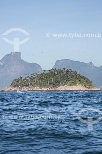  Subject: Palmas Island - part of Natural Monument of Cagarras Island - with the Rock of Gavea in the background / Place: Rio de Janeiro city - Rio de Janeiro state (RJ) - Brazil / Date: 11/2013 