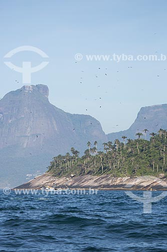  Subject: Palmas Island - part of Natural Monument of Cagarras Island - with the Rock of Gavea in the background / Place: Rio de Janeiro city - Rio de Janeiro state (RJ) - Brazil / Date: 11/2013 