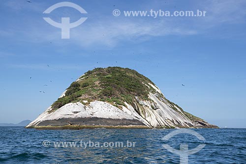  Subject: Cagarra Island - part of Natural Monument of Cagarras Island / Place: Rio de Janeiro city - Rio de Janeiro state (RJ) - Brazil / Date: 11/2013 