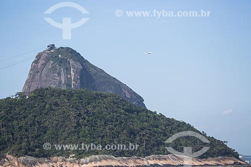  Subject: Environmental Protection Area of Morro do Leme with the Sugar Loaf in the background / Place: Rio de Janeiro city - Rio de Janeiro state (RJ) - Brazil / Date: 11/2013 