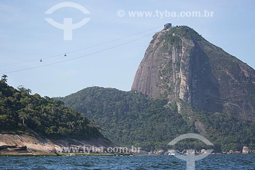  Subject: Environmental Protection Area of Morro do Leme with the Sugar Loaf in the background / Place: Rio de Janeiro city - Rio de Janeiro state (RJ) - Brazil / Date: 11/2013 